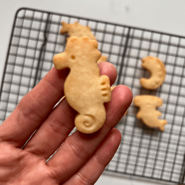Sea creatures biscuits