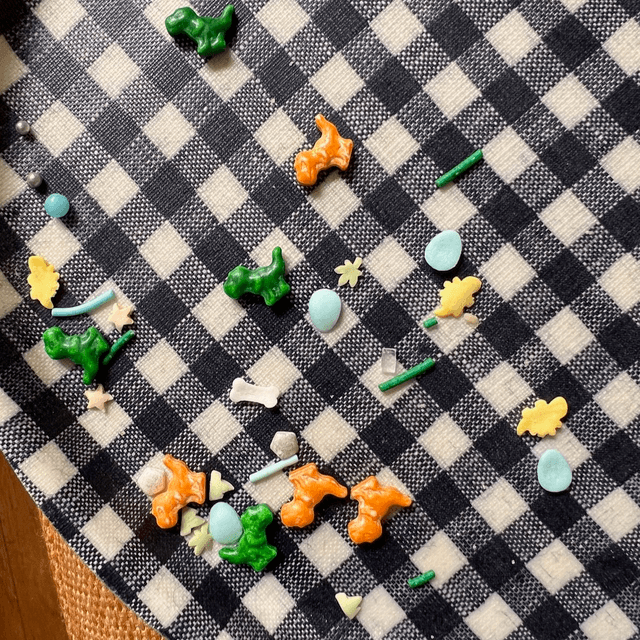 Dinosaur biscuits. 